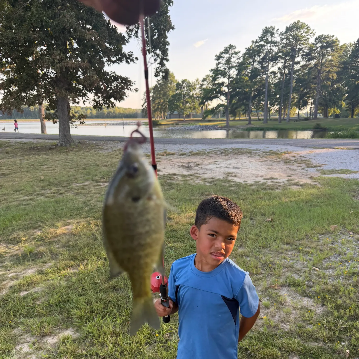 Fish caught on Fishbrain