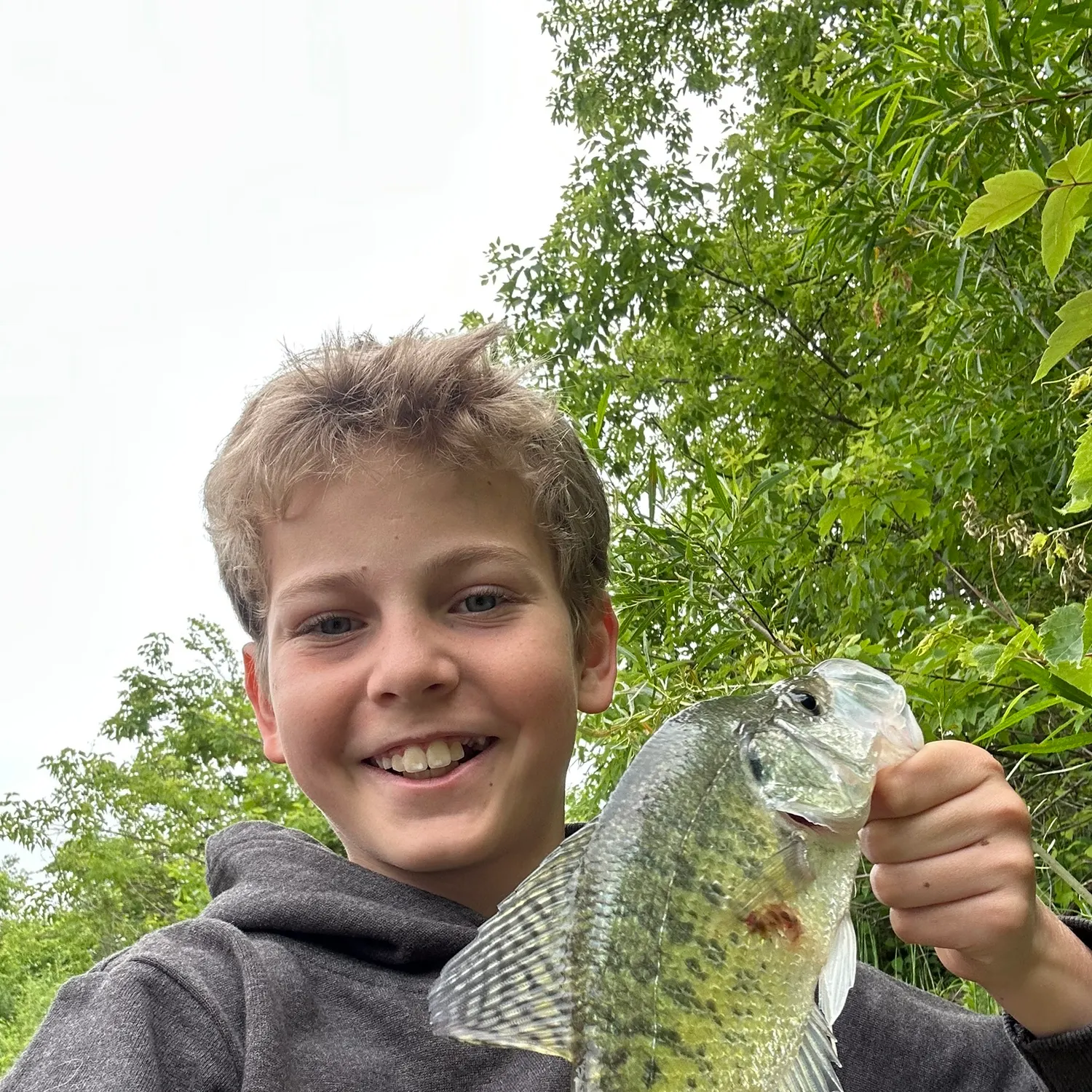 The most recent White crappie catches on Fishbrain