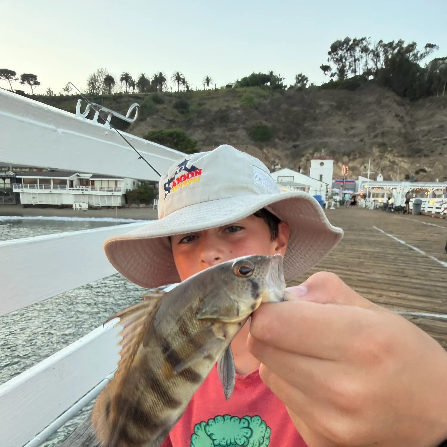 Barred sand bass caught on Fishbrain