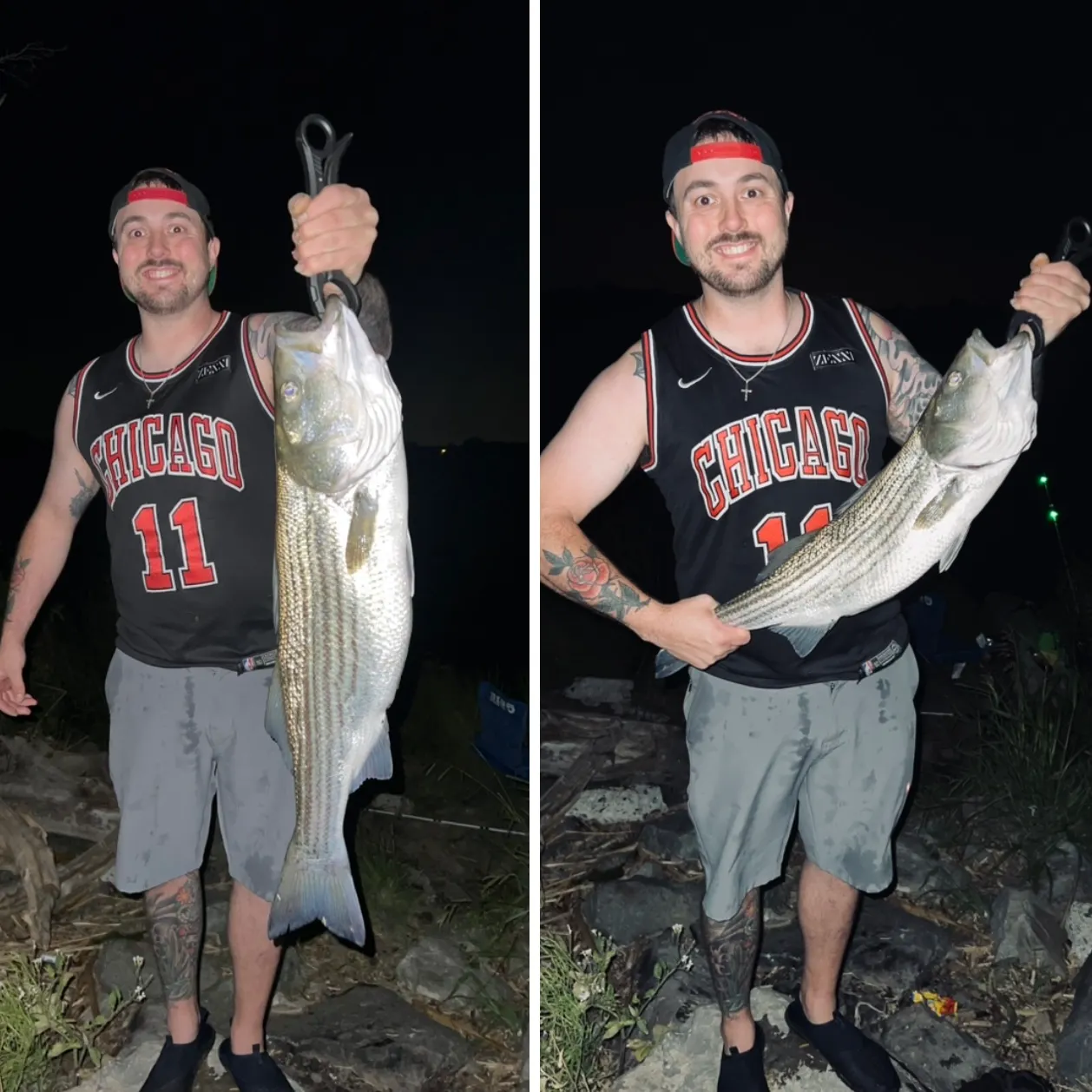 recently logged catches