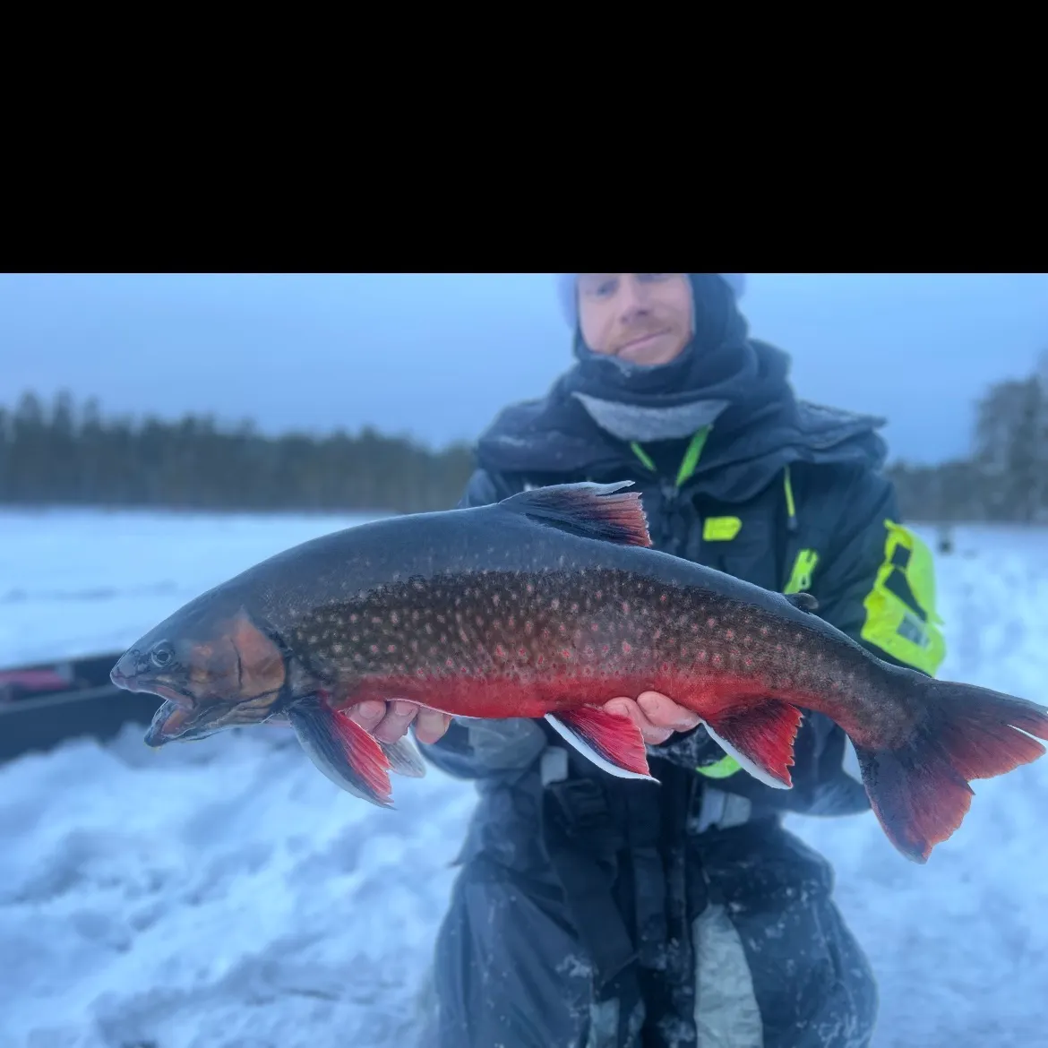 The most recent Arctic char catches on Fishbrain