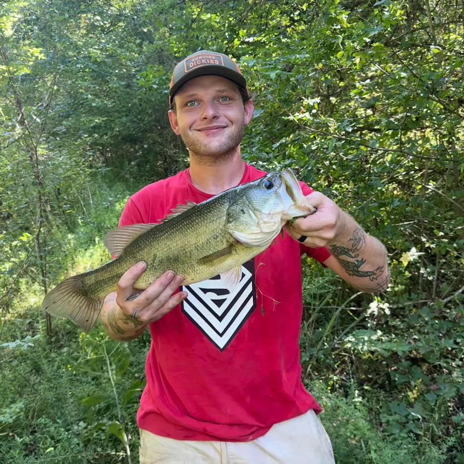 Largemouth bass caught on Fishbrain