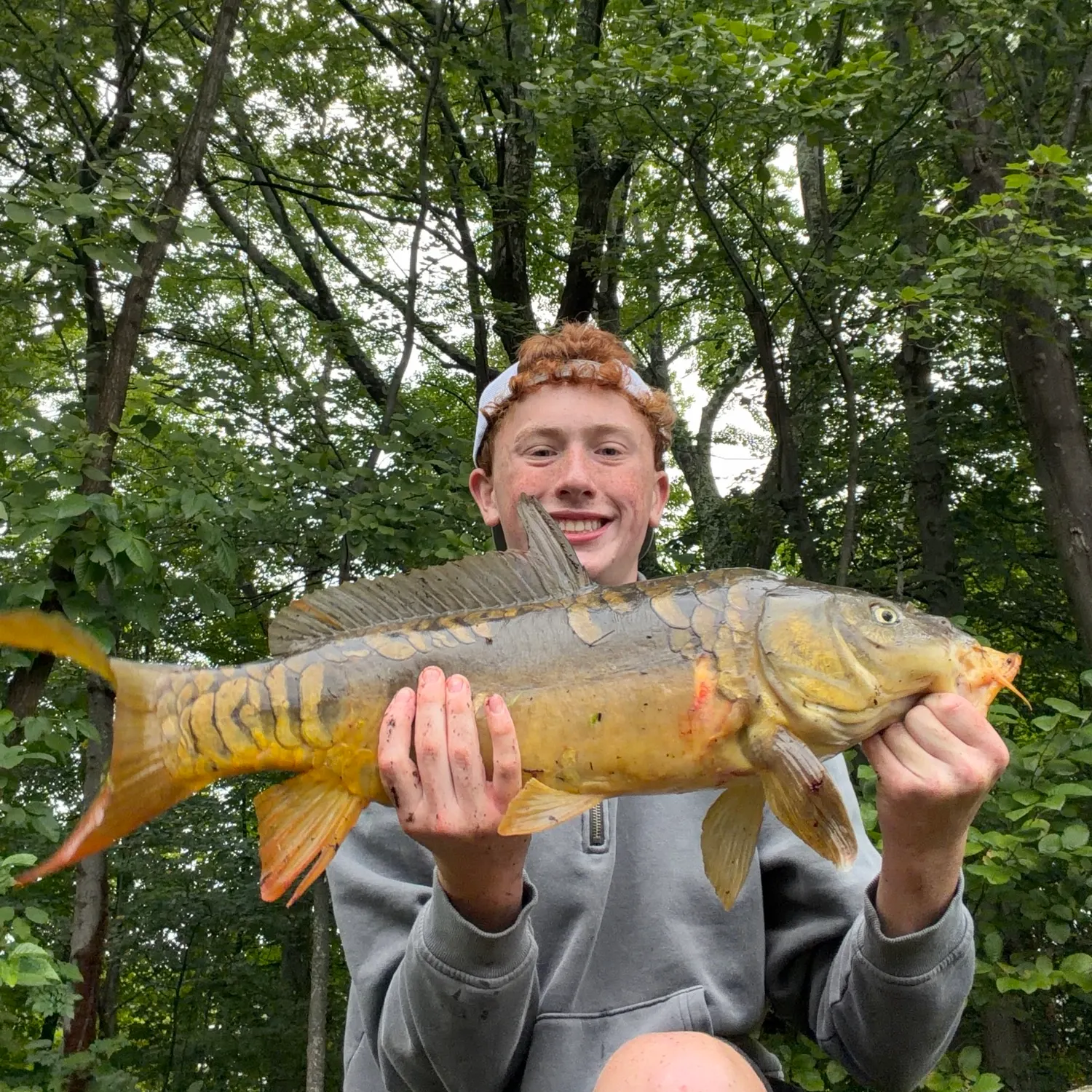 Mirror carp caught on Fishbrain