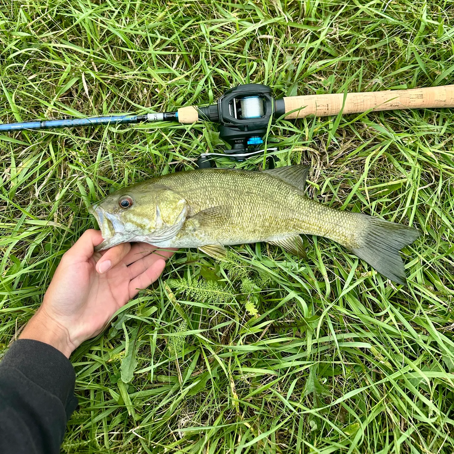 Smallmouth bass caught on Fishbrain