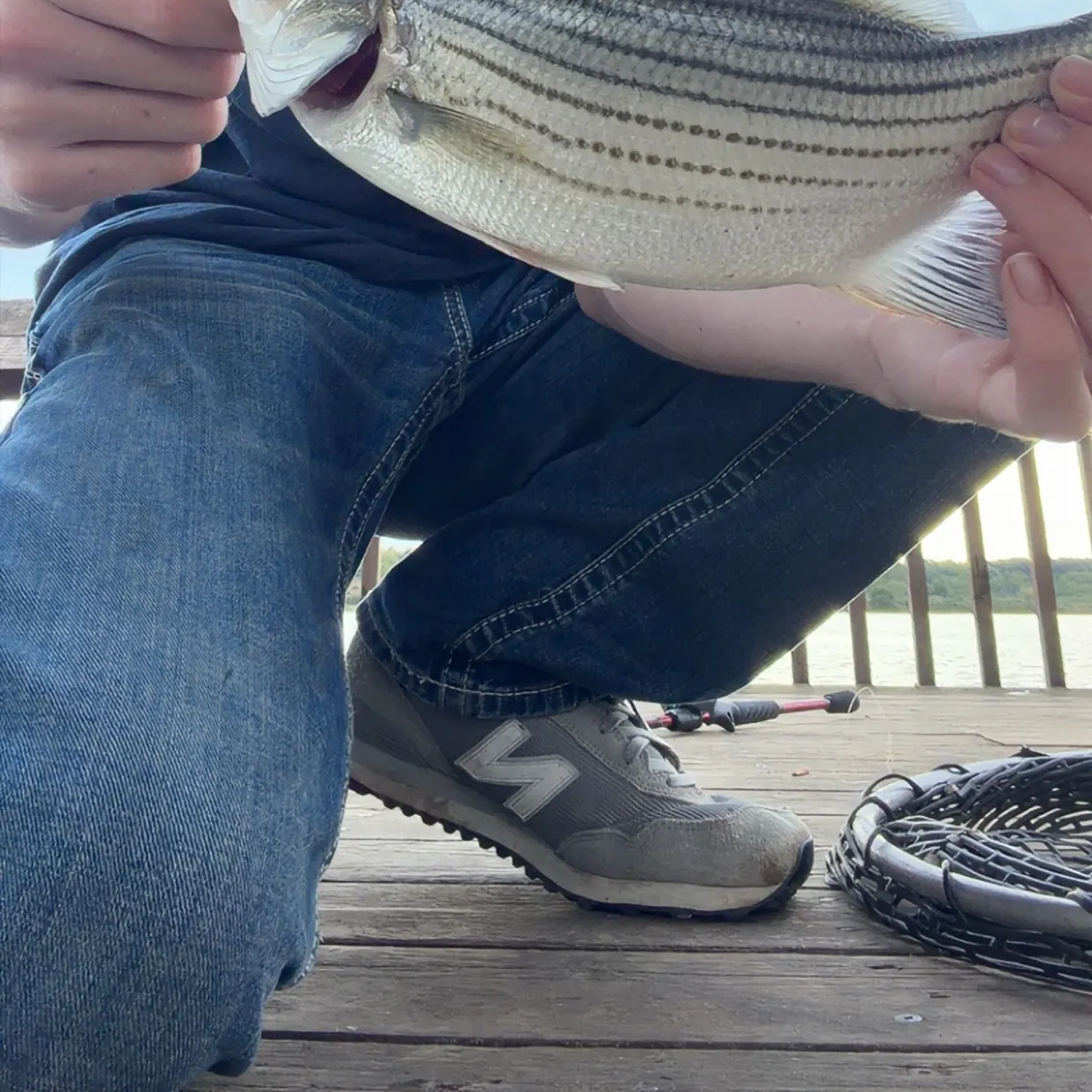 Wiper caught on Fishbrain
