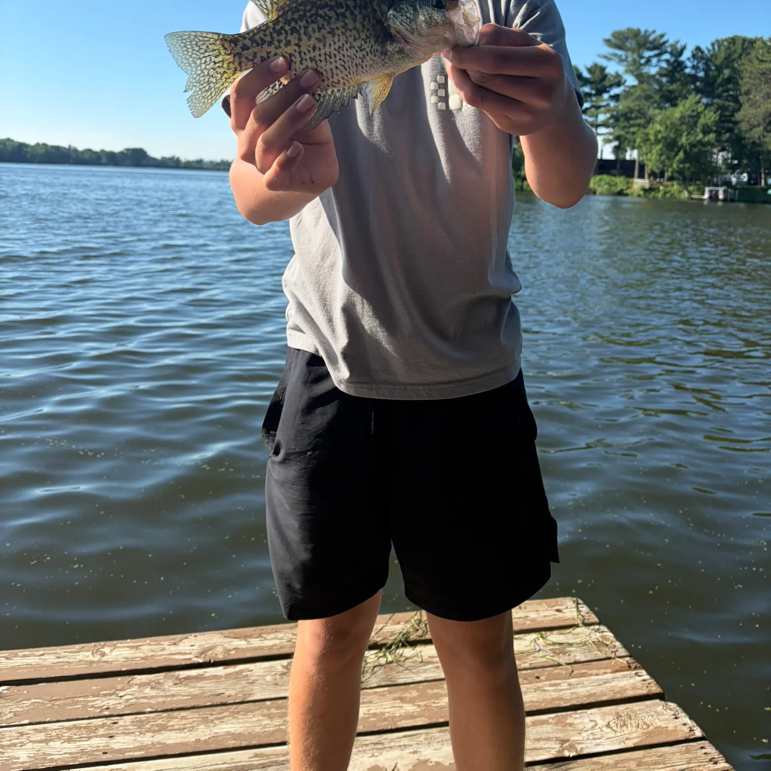 The most recent Black crappie catches on Fishbrain