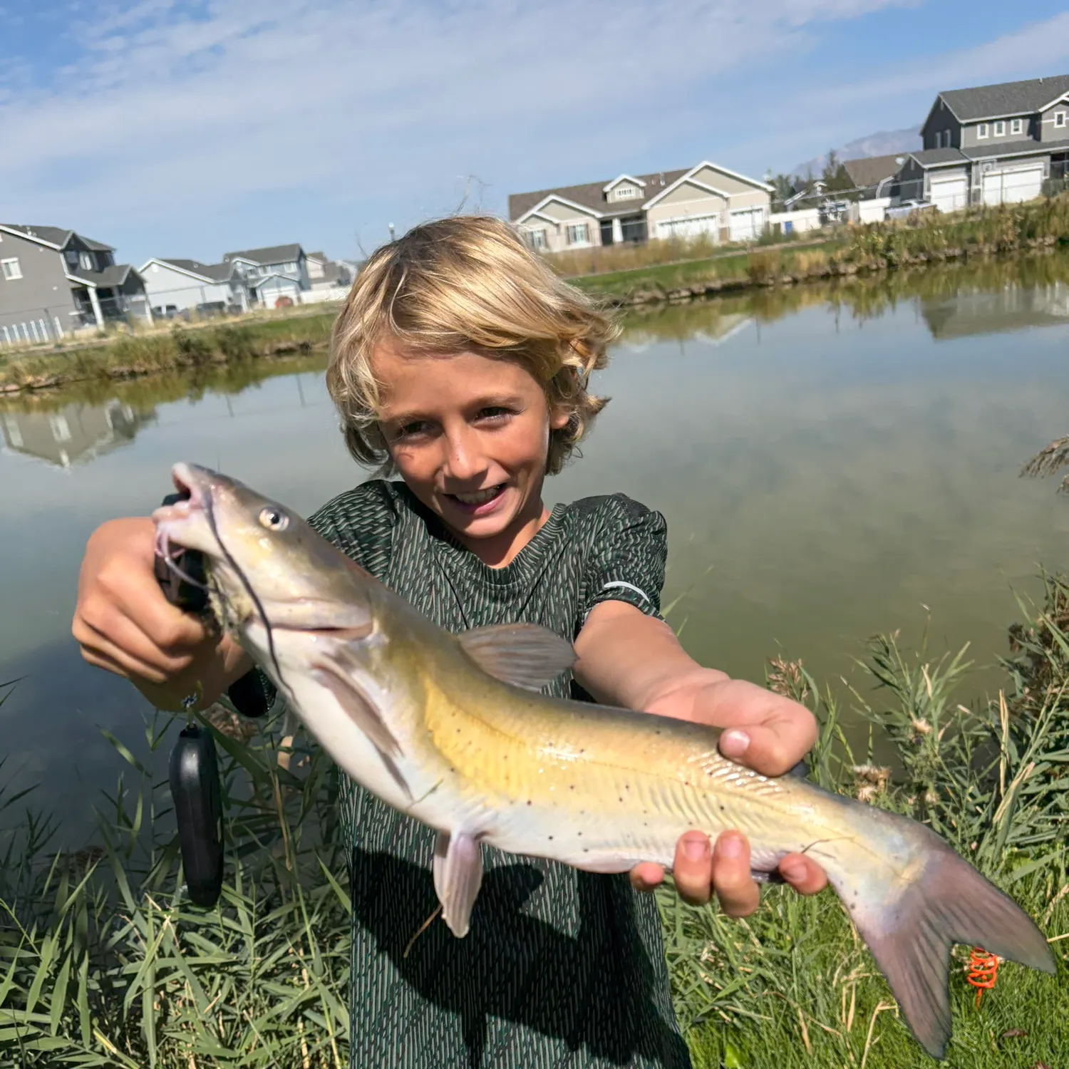 Channel catfish caught on Fishbrain