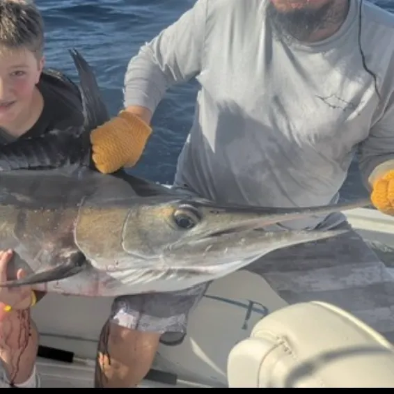The most recent Black marlin catches on Fishbrain