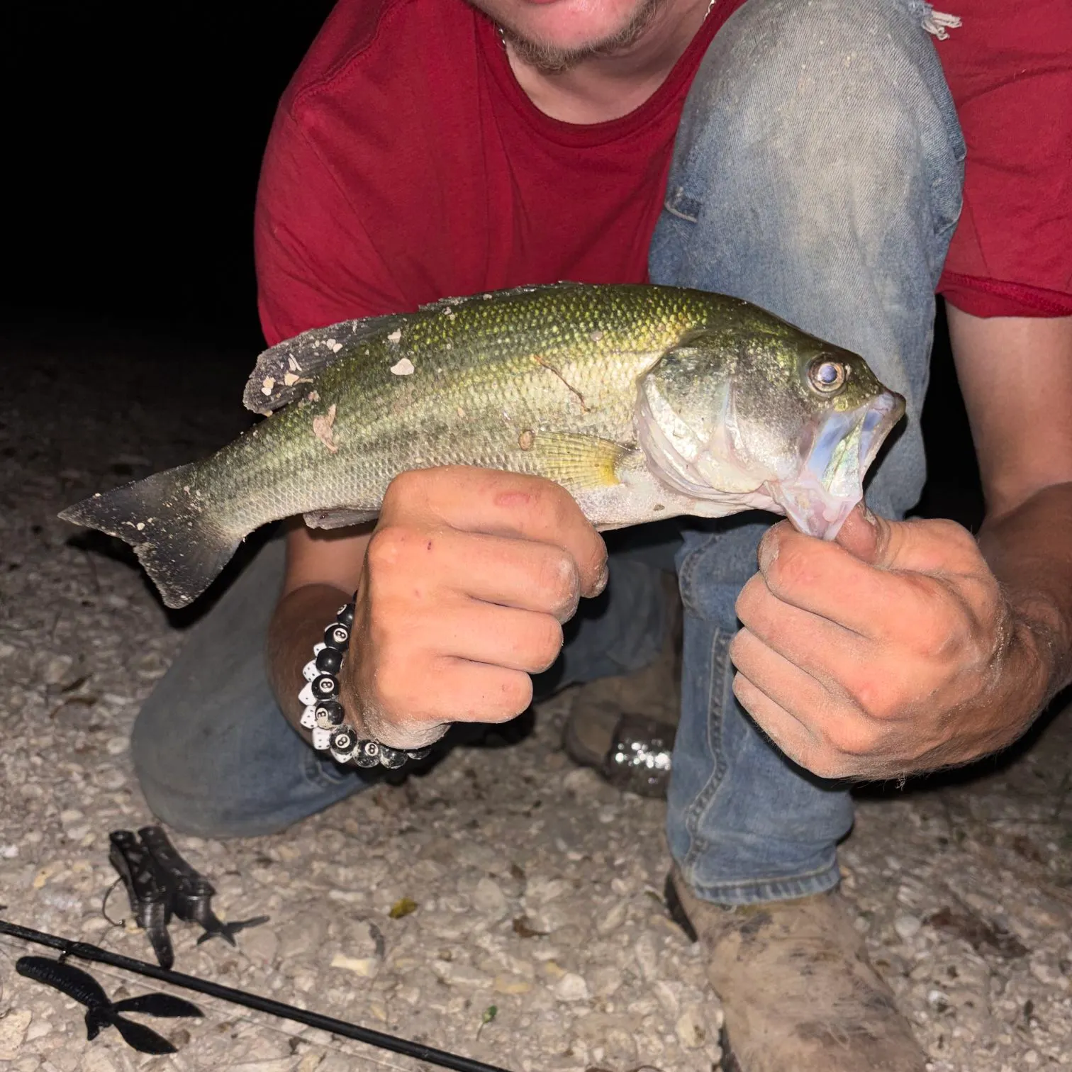 Largemouth bass caught on Fishbrain