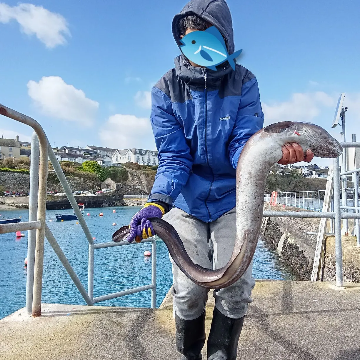 The most recent European conger catches on Fishbrain