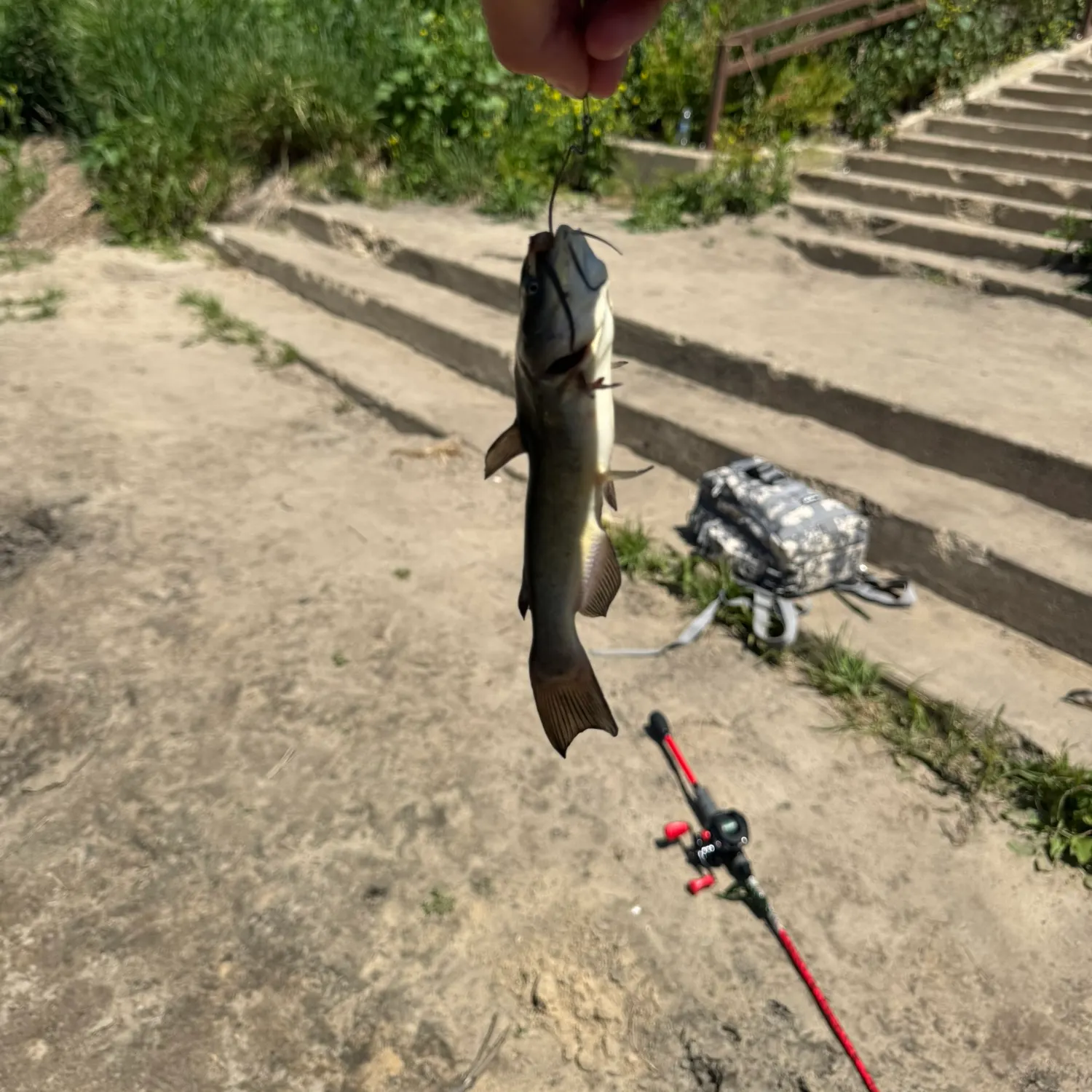 catch