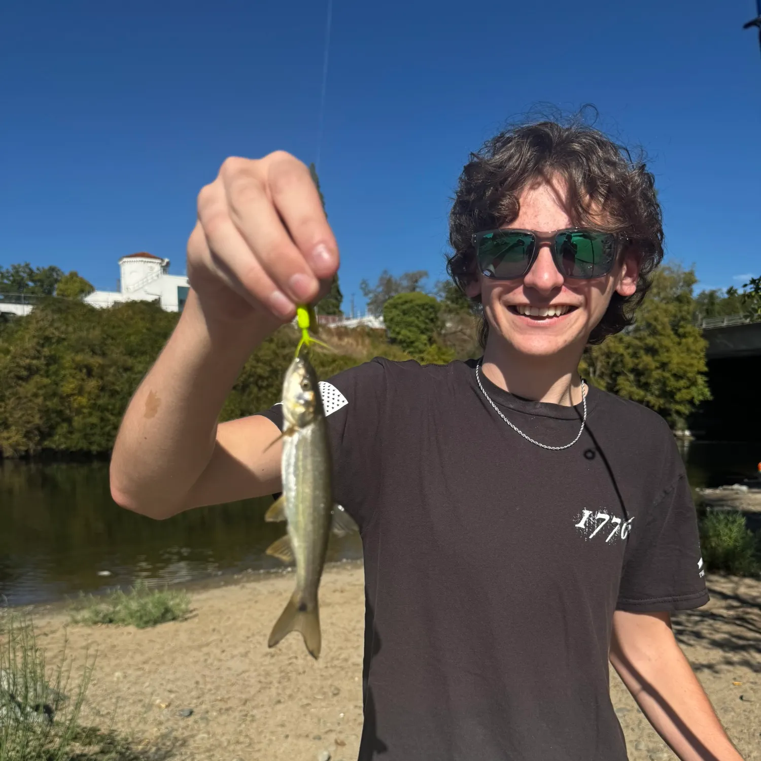 Northern pikeminnow caught on Fishbrain