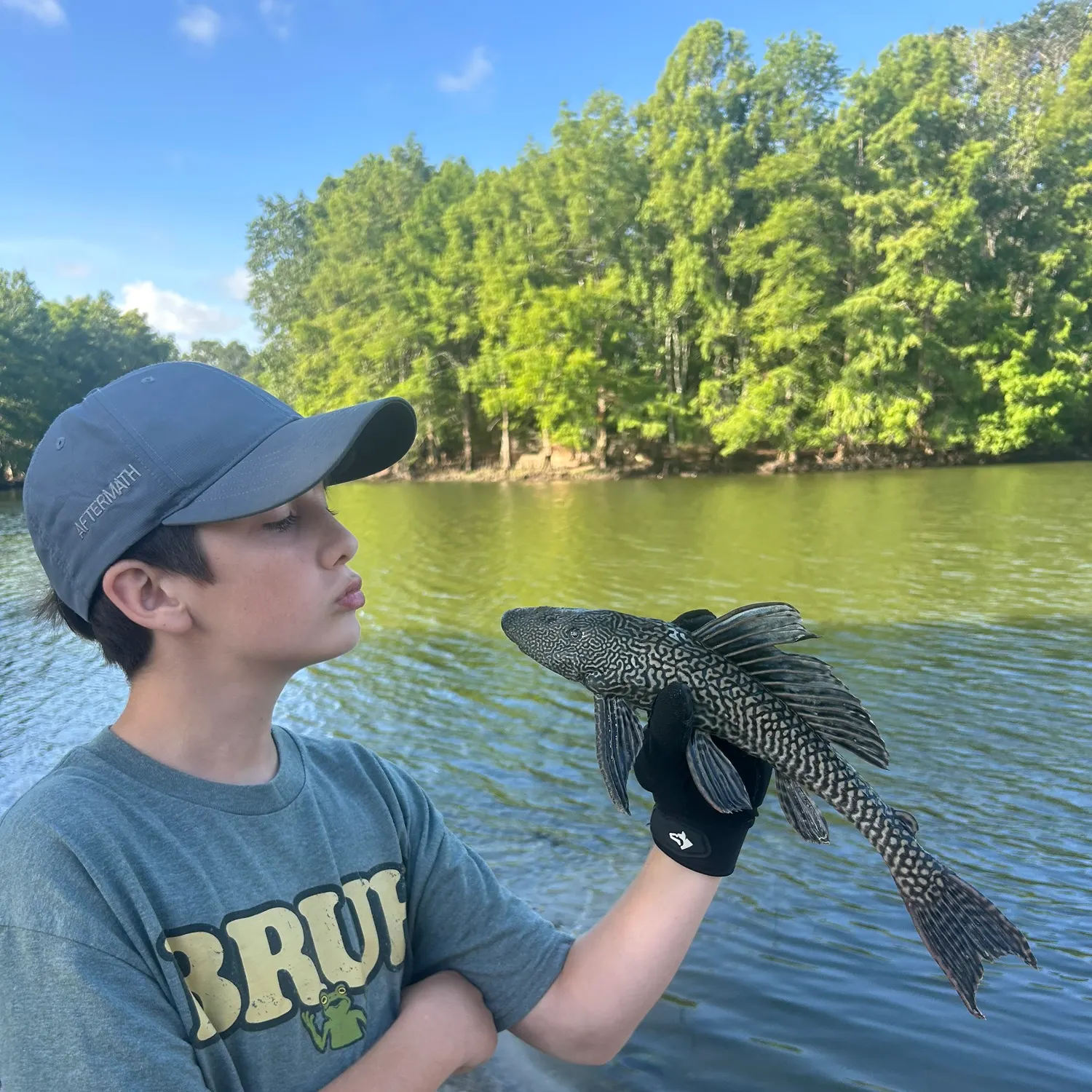 The most recent Vermiculated sailfin catfish catches on Fishbrain