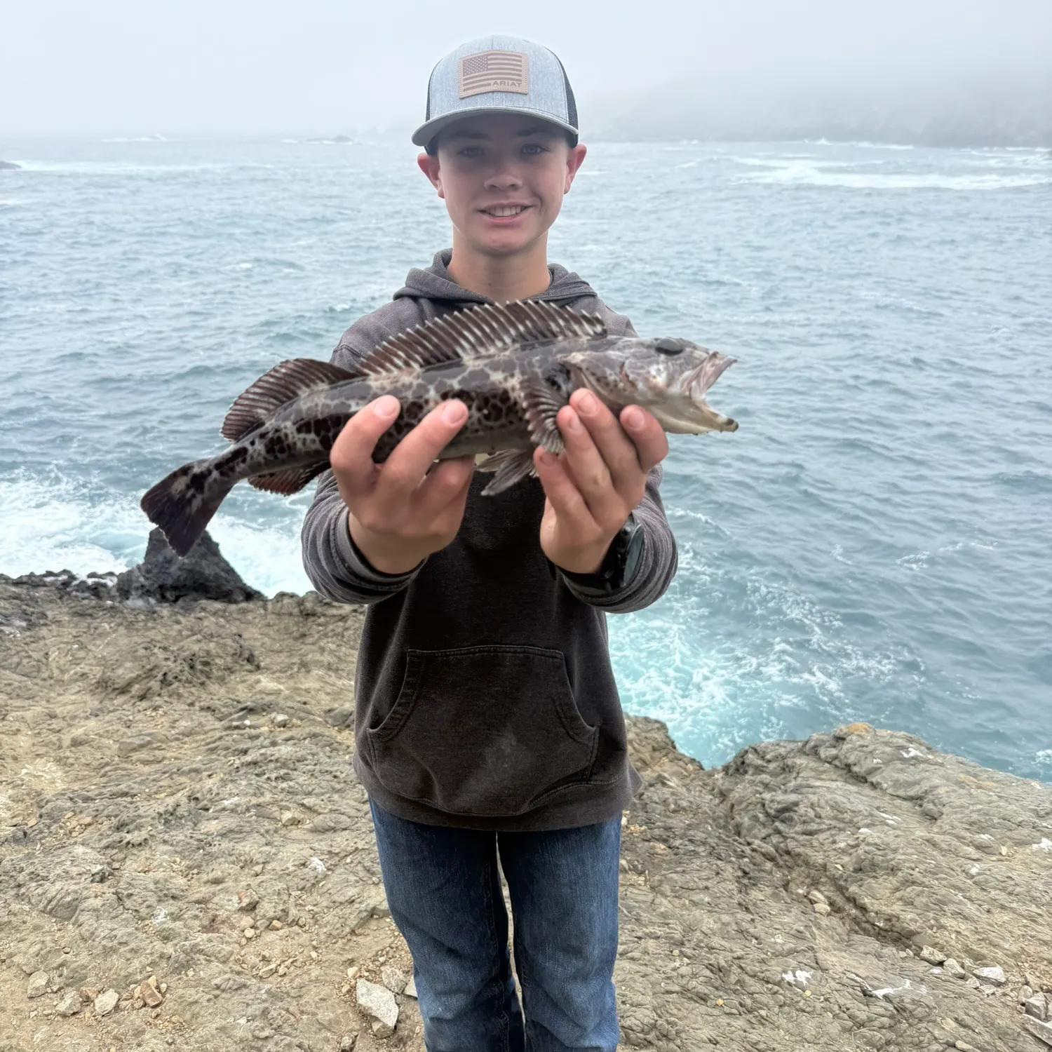 The most recent Lingcod catches on Fishbrain