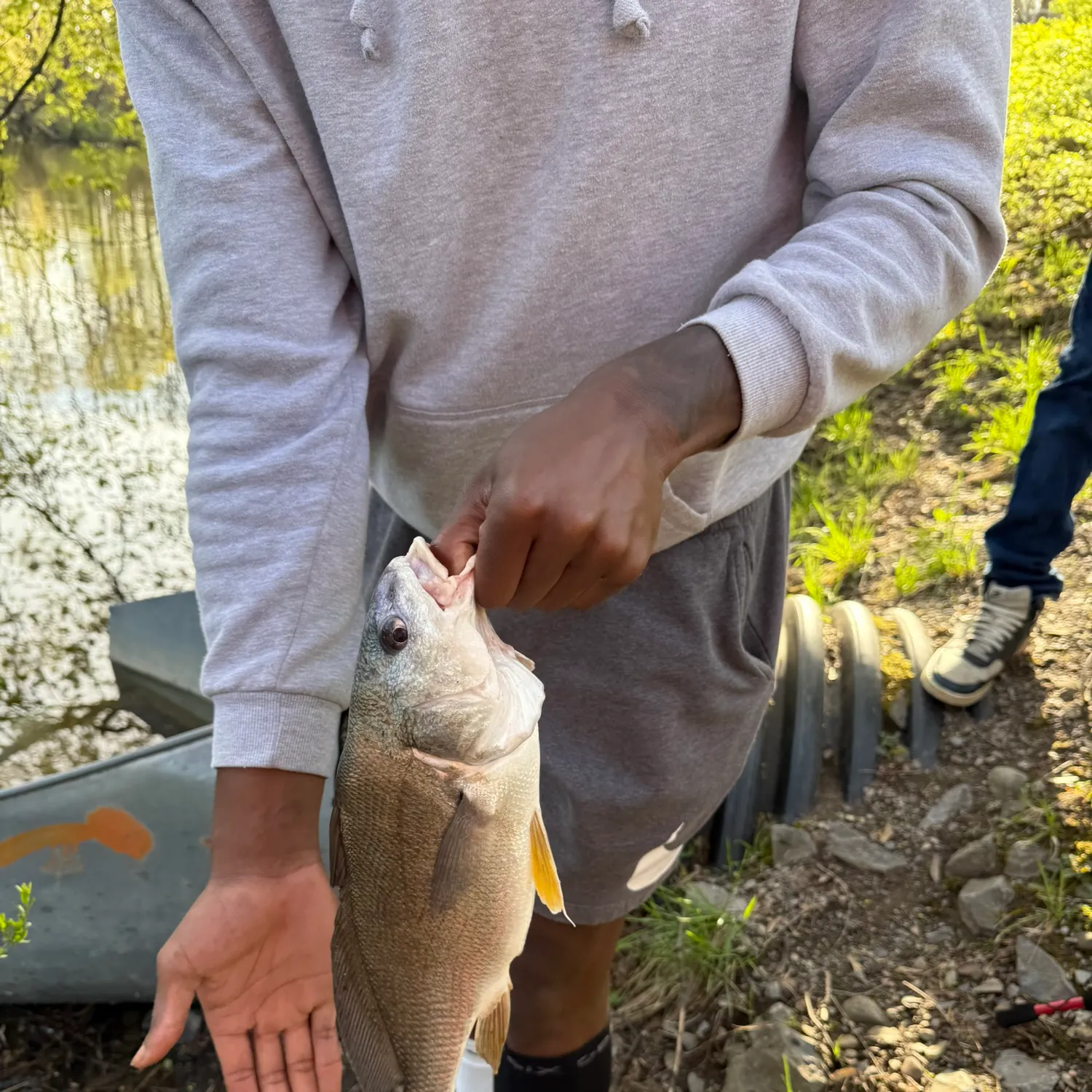 catch