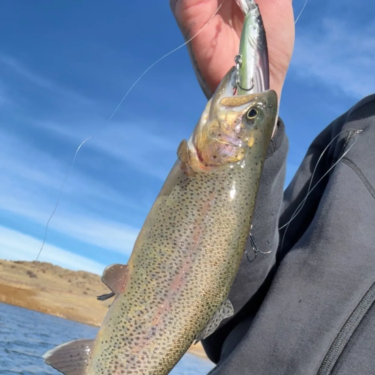 The most recent Cutbow catches on Fishbrain