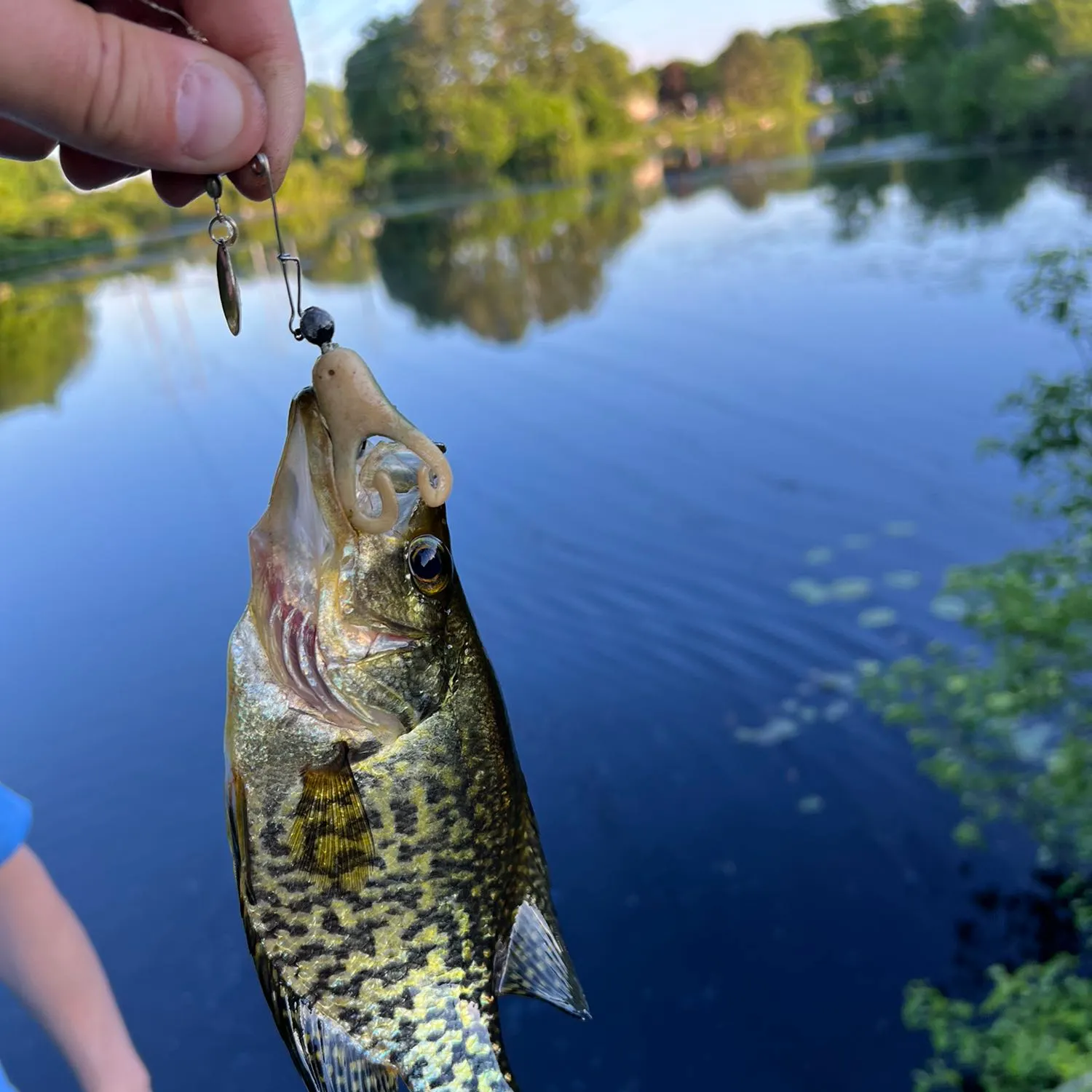 angler catch
