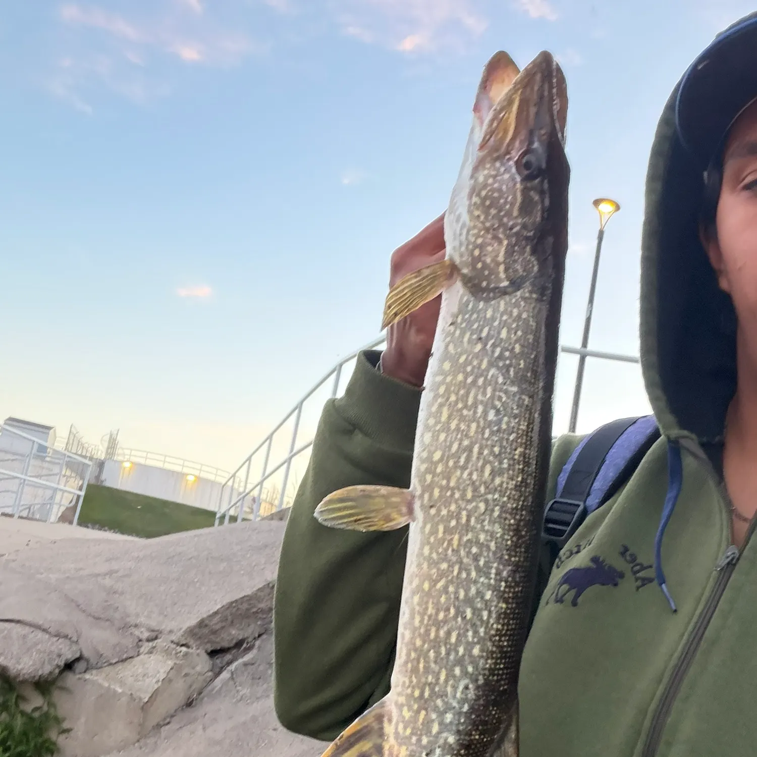 catch