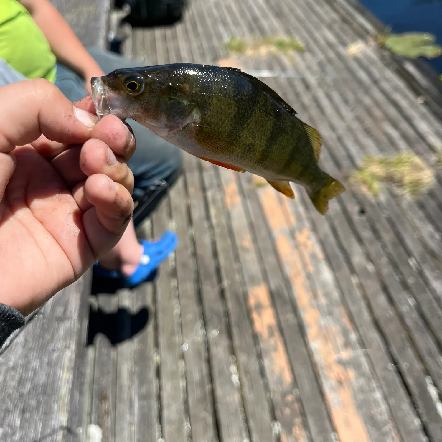 catch