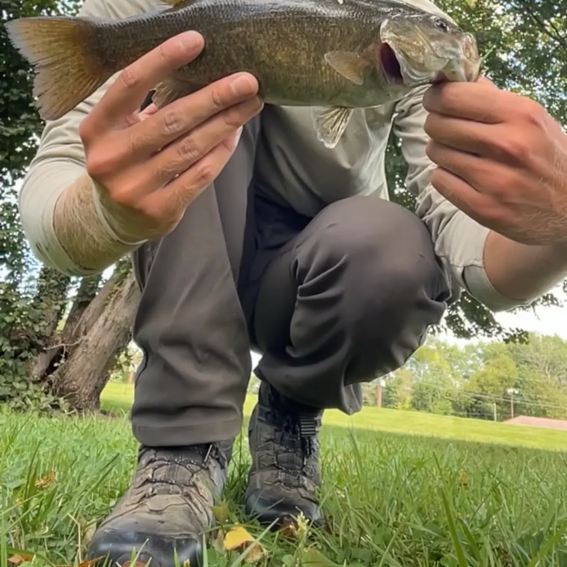 Smallmouth bass caught on Fishbrain