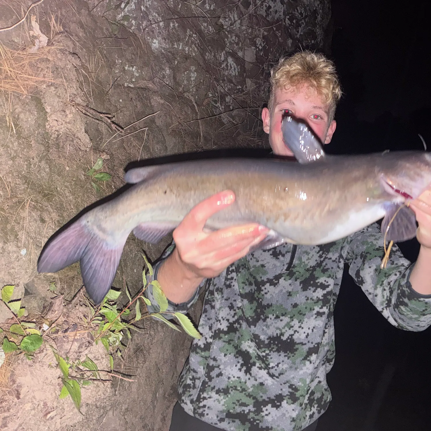 Channel catfish caught on Fishbrain