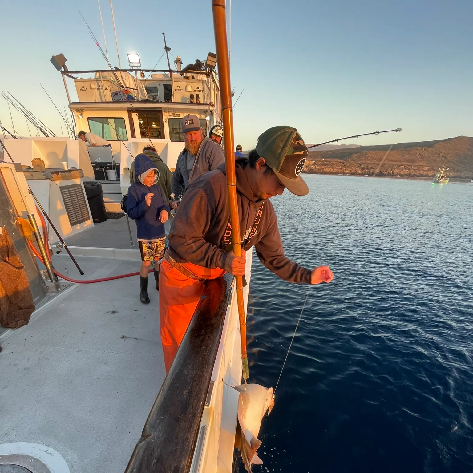 The most recent Bat eagle ray catches on Fishbrain