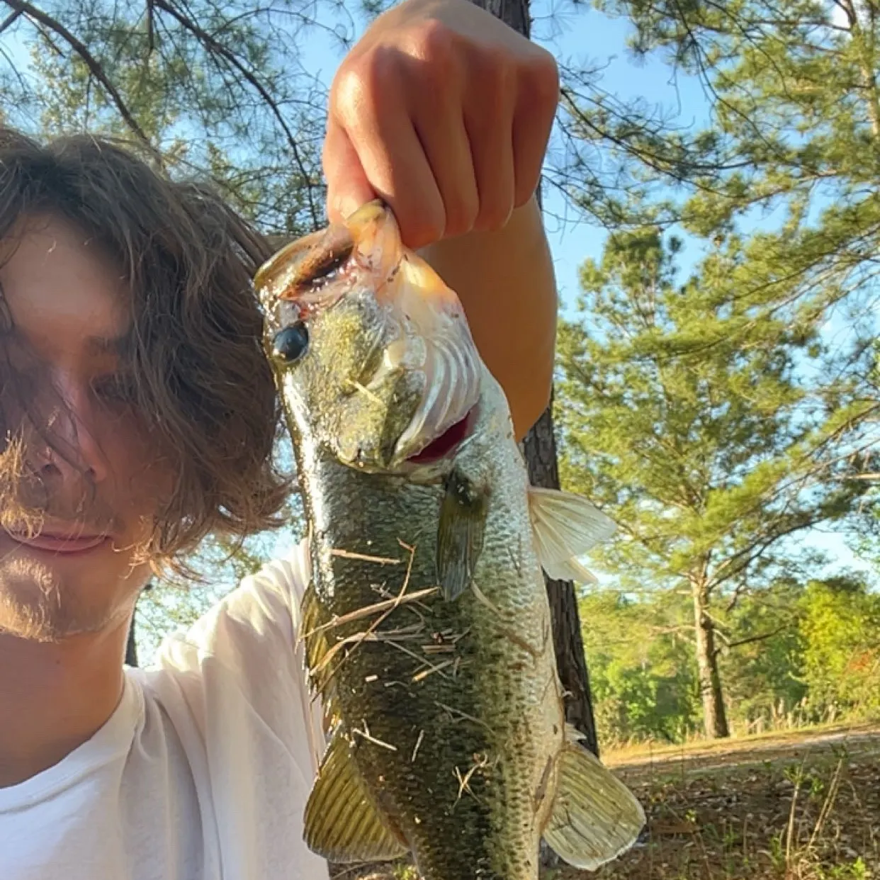 The most recent Ouachita smallmouth bass catches on Fishbrain