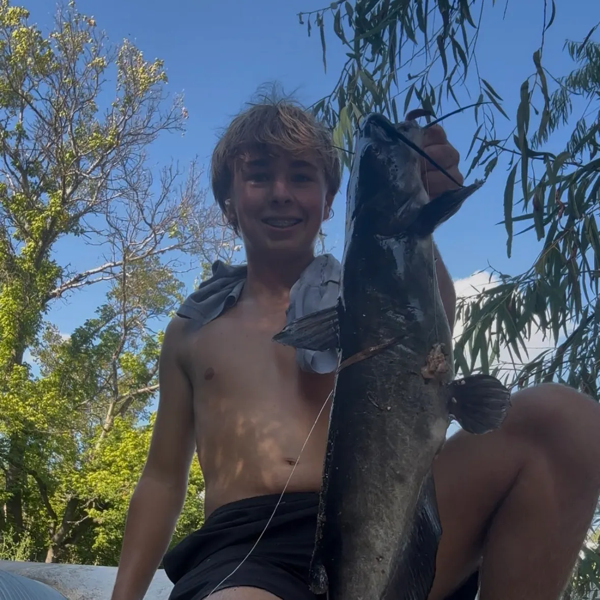Channel catfish caught on Fishbrain