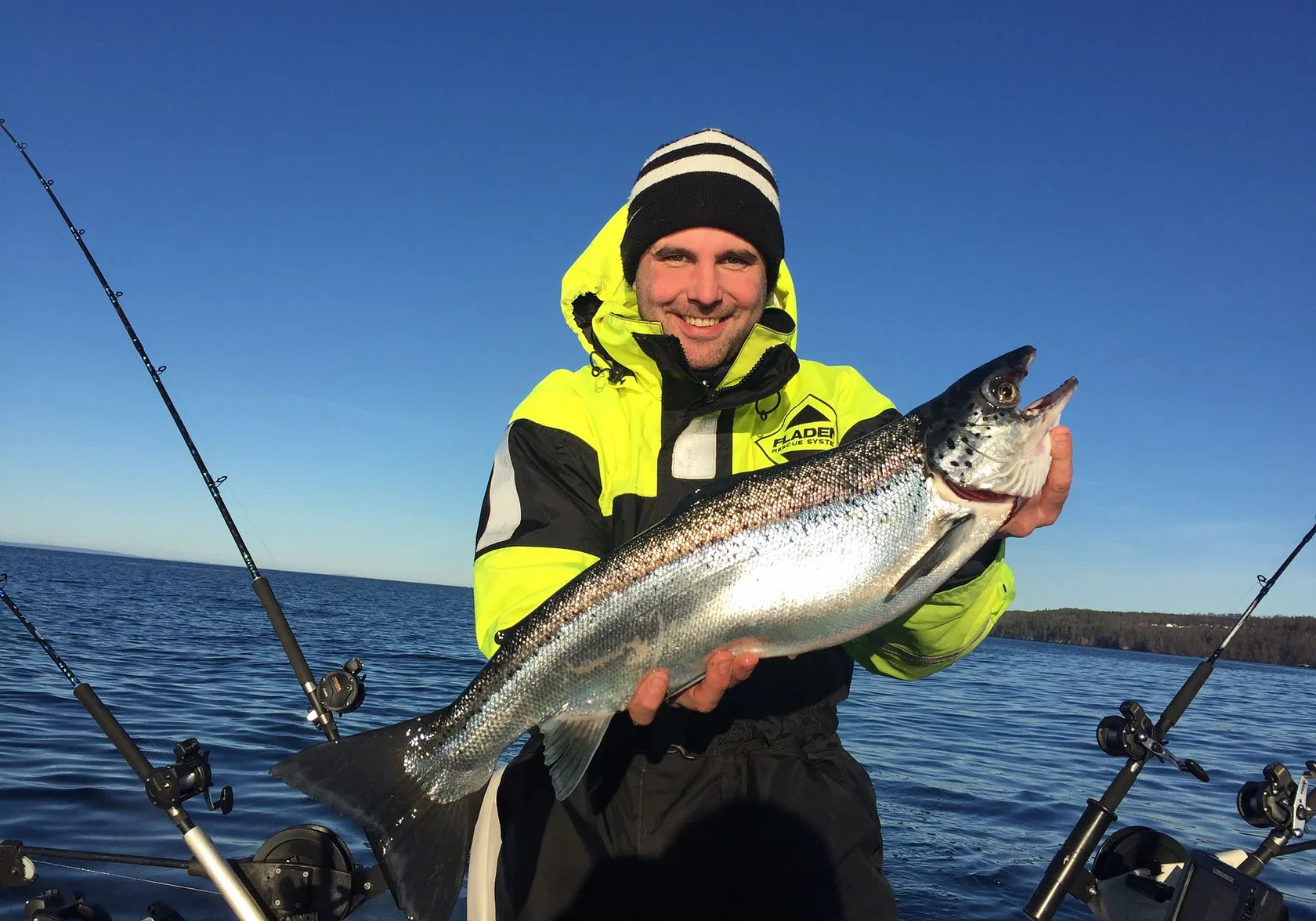 Atlantic salmon