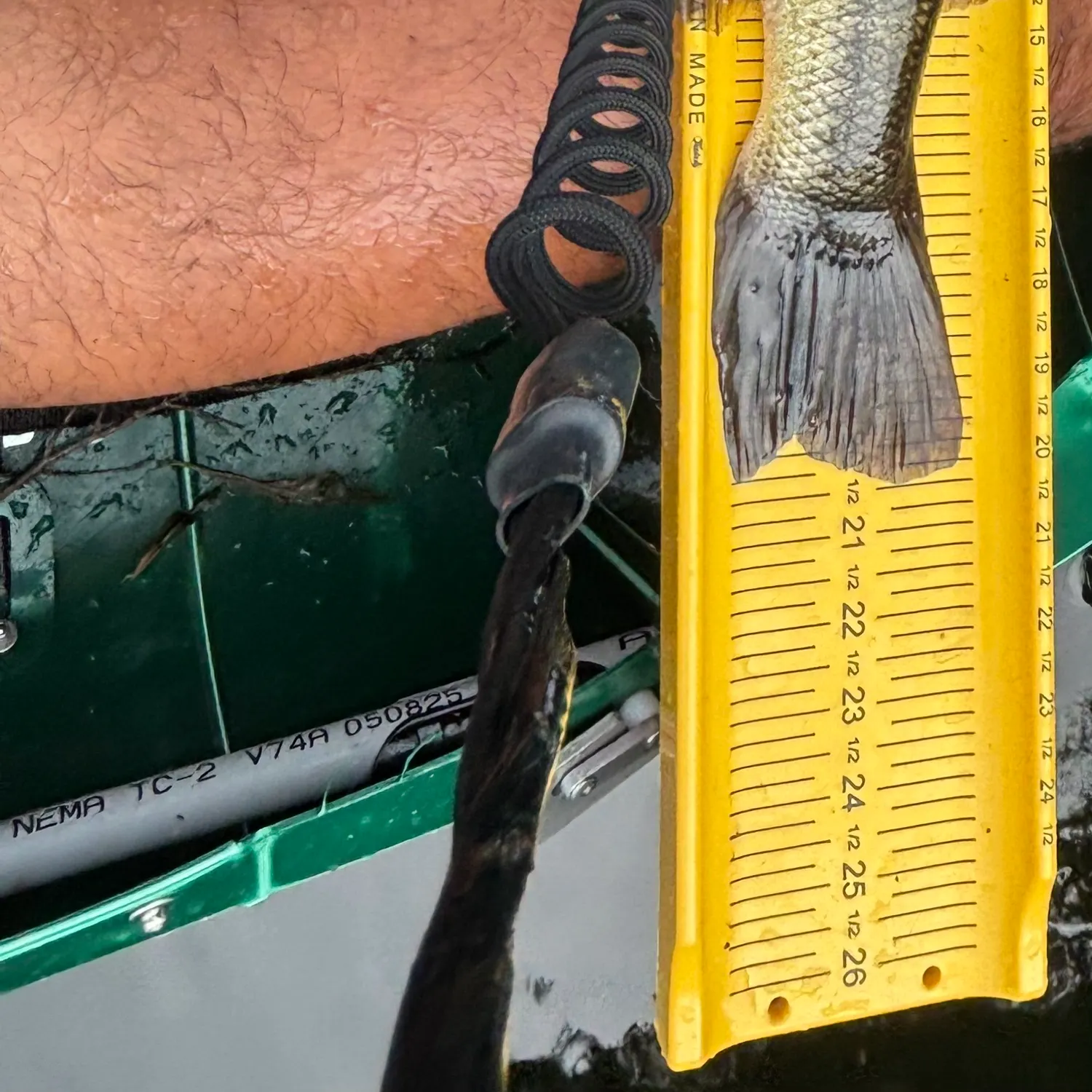 recently logged catches