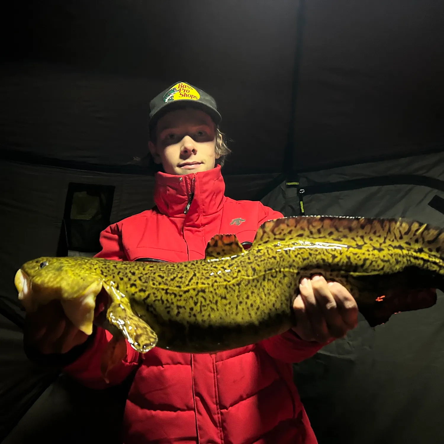The most recent Burbot catches on Fishbrain