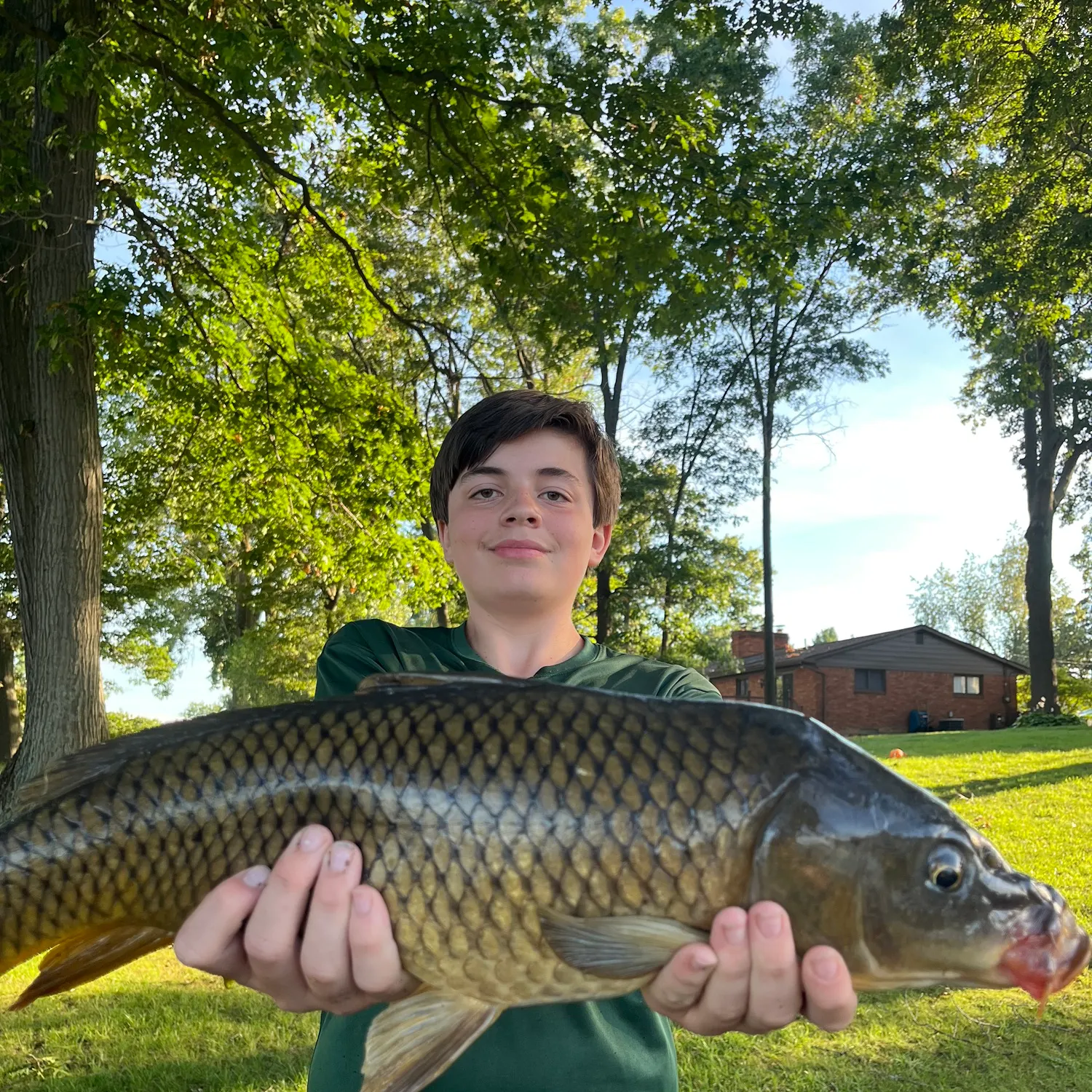Common carp caught on Fishbrain