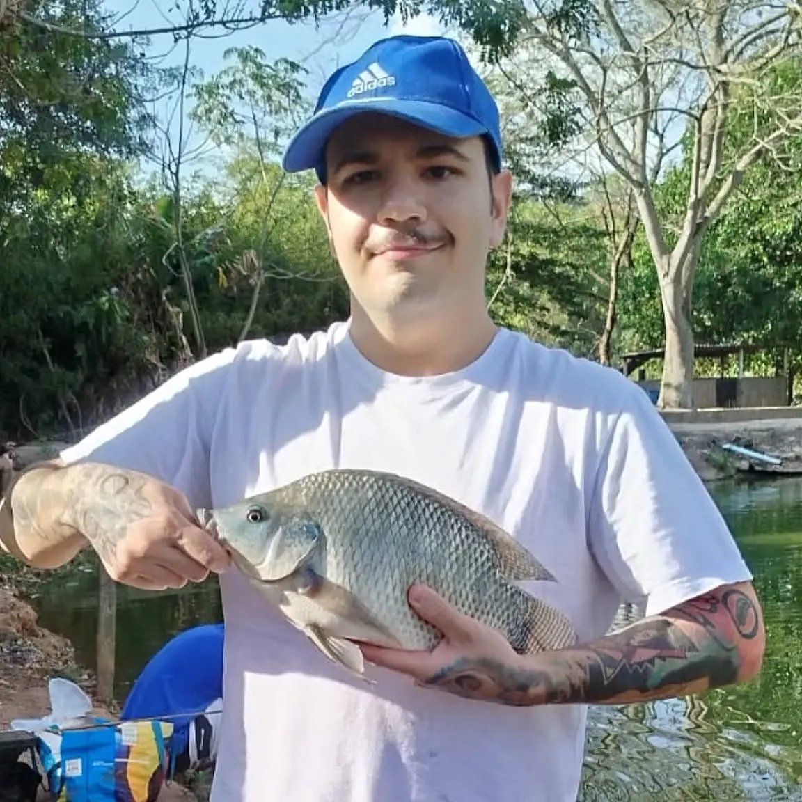 The most recent Longfin tilapia catches on Fishbrain