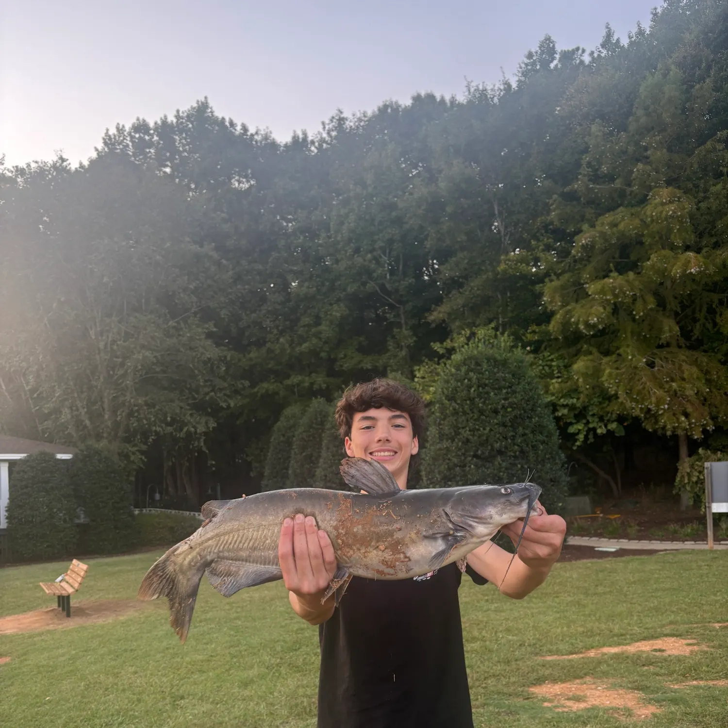 Channel catfish caught on Fishbrain