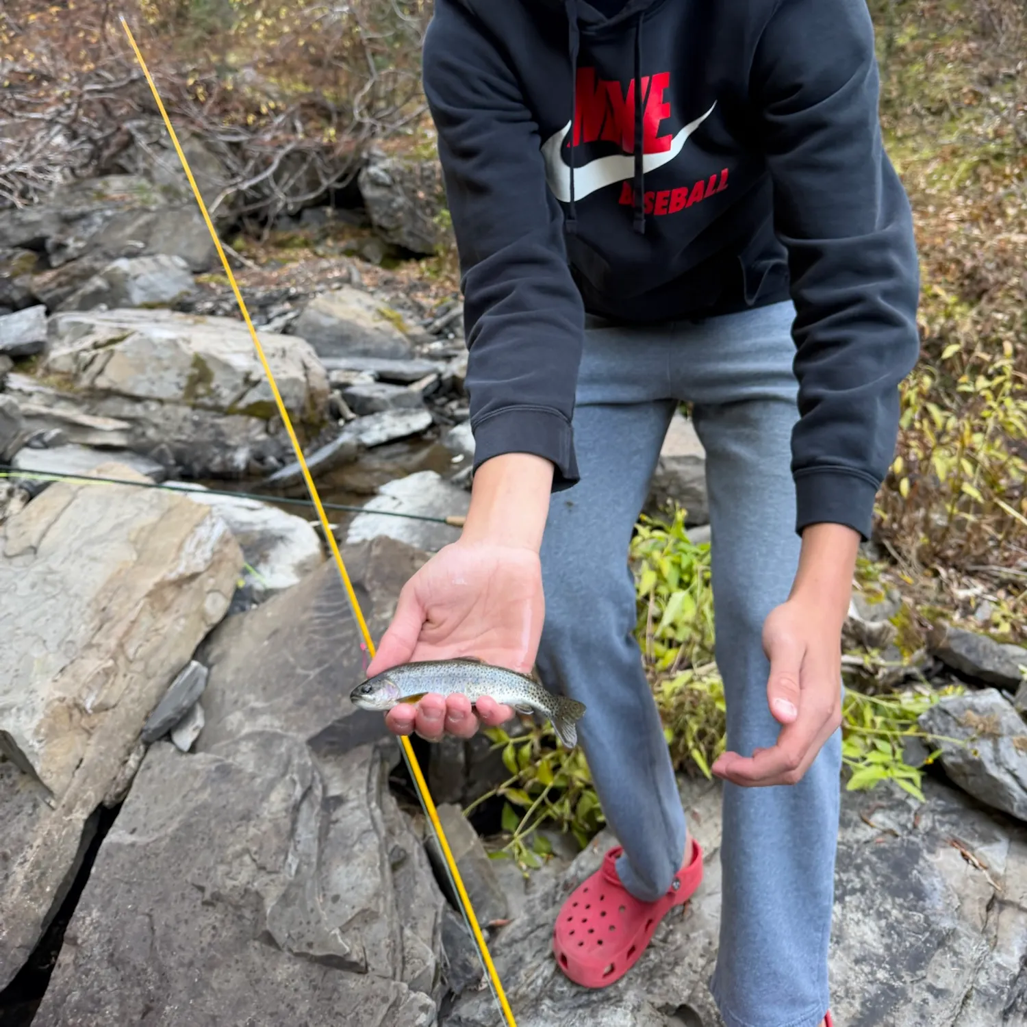 Westslope cutthroat trout caught on Fishbrain