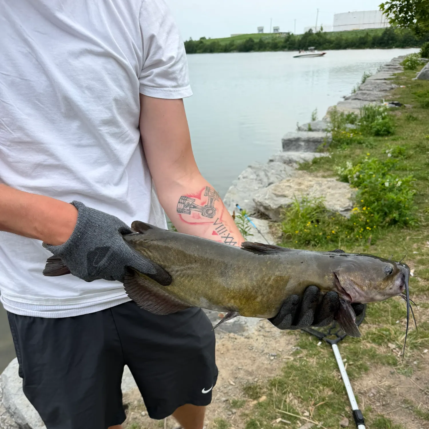 catch