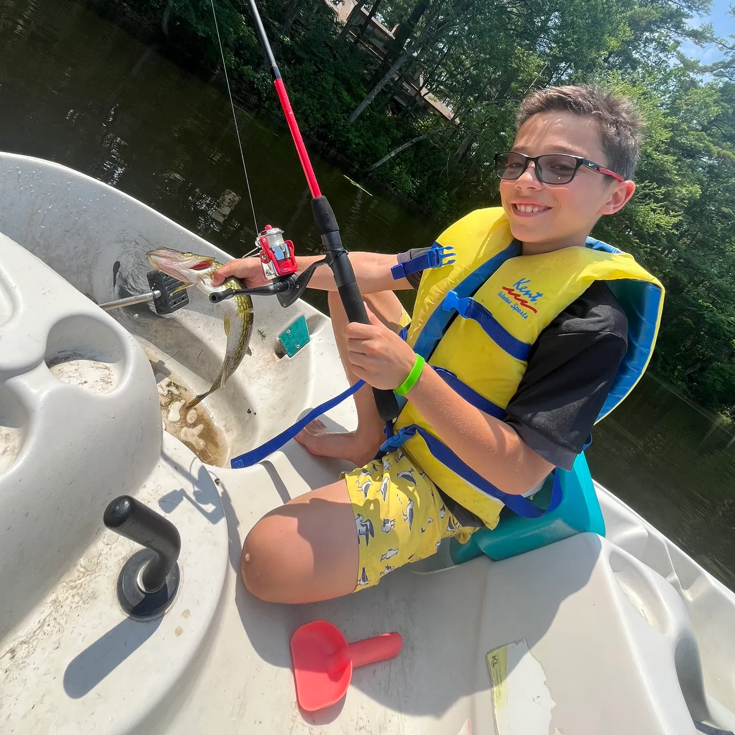 The most recent Northern pike x Chain pickerel catches on Fishbrain