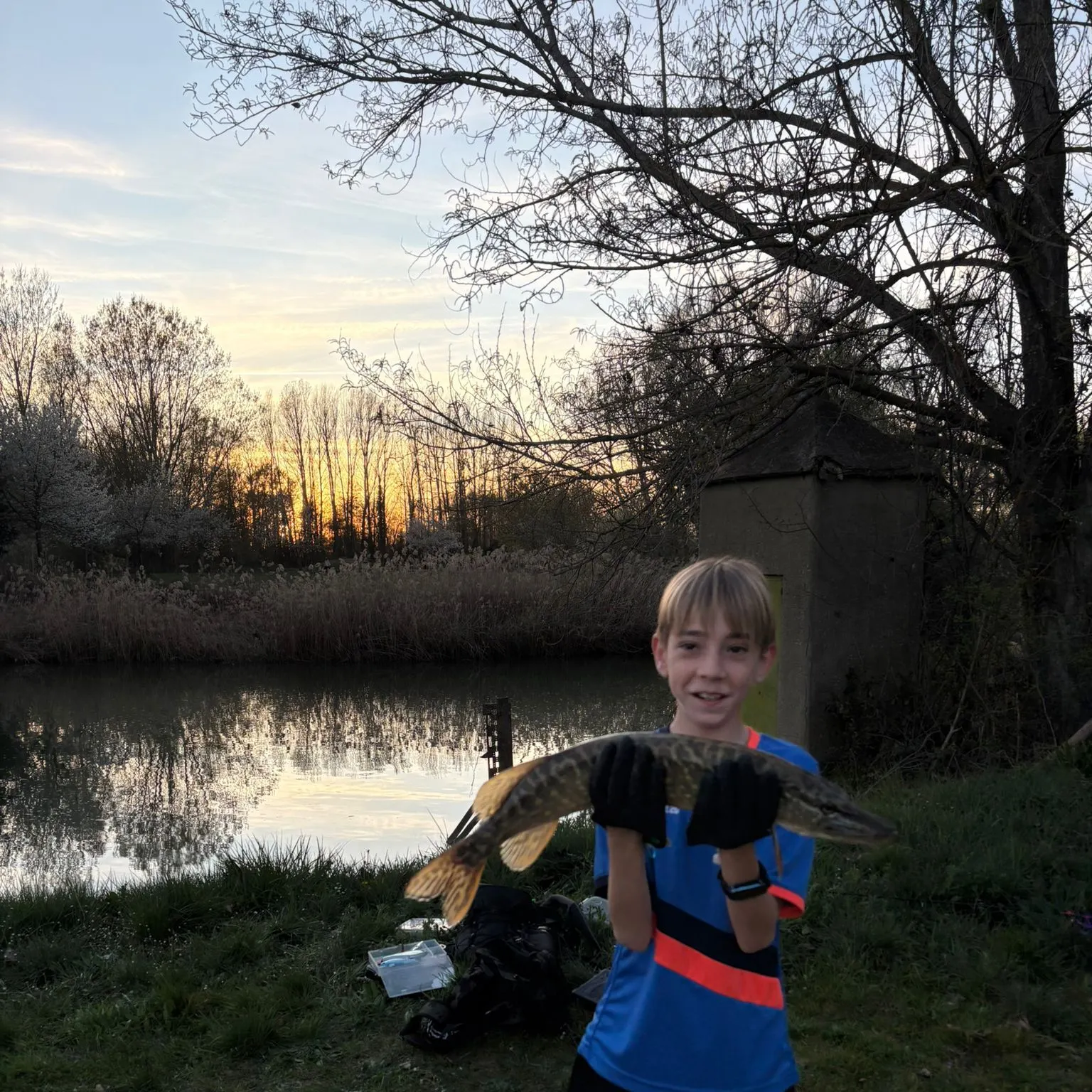 Northern pike caught on Fishbrain