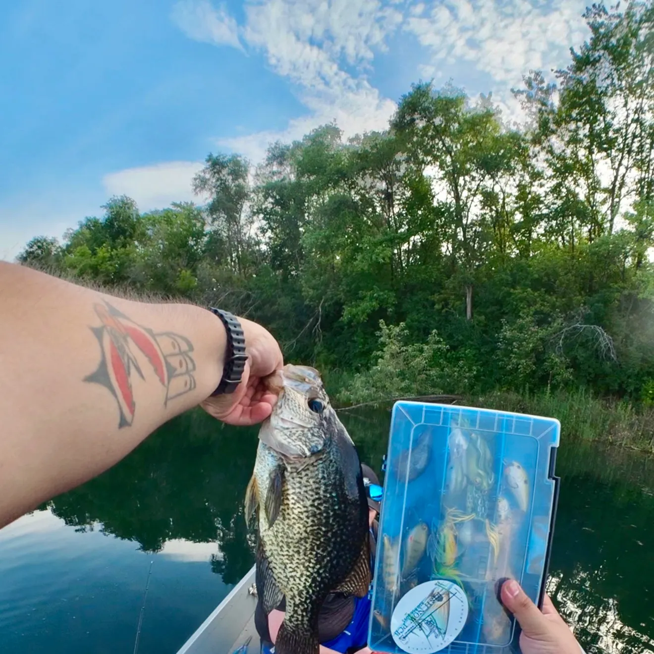catch