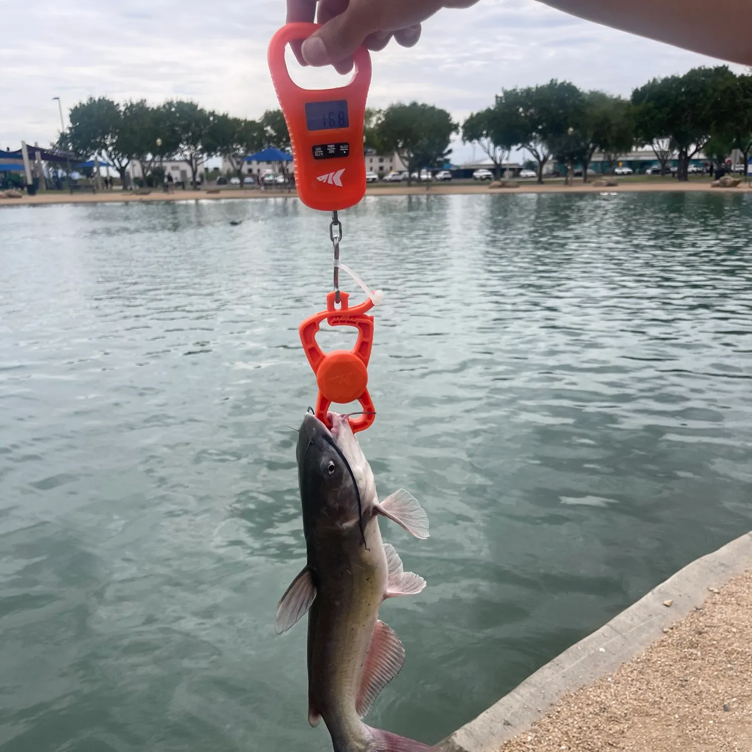catch