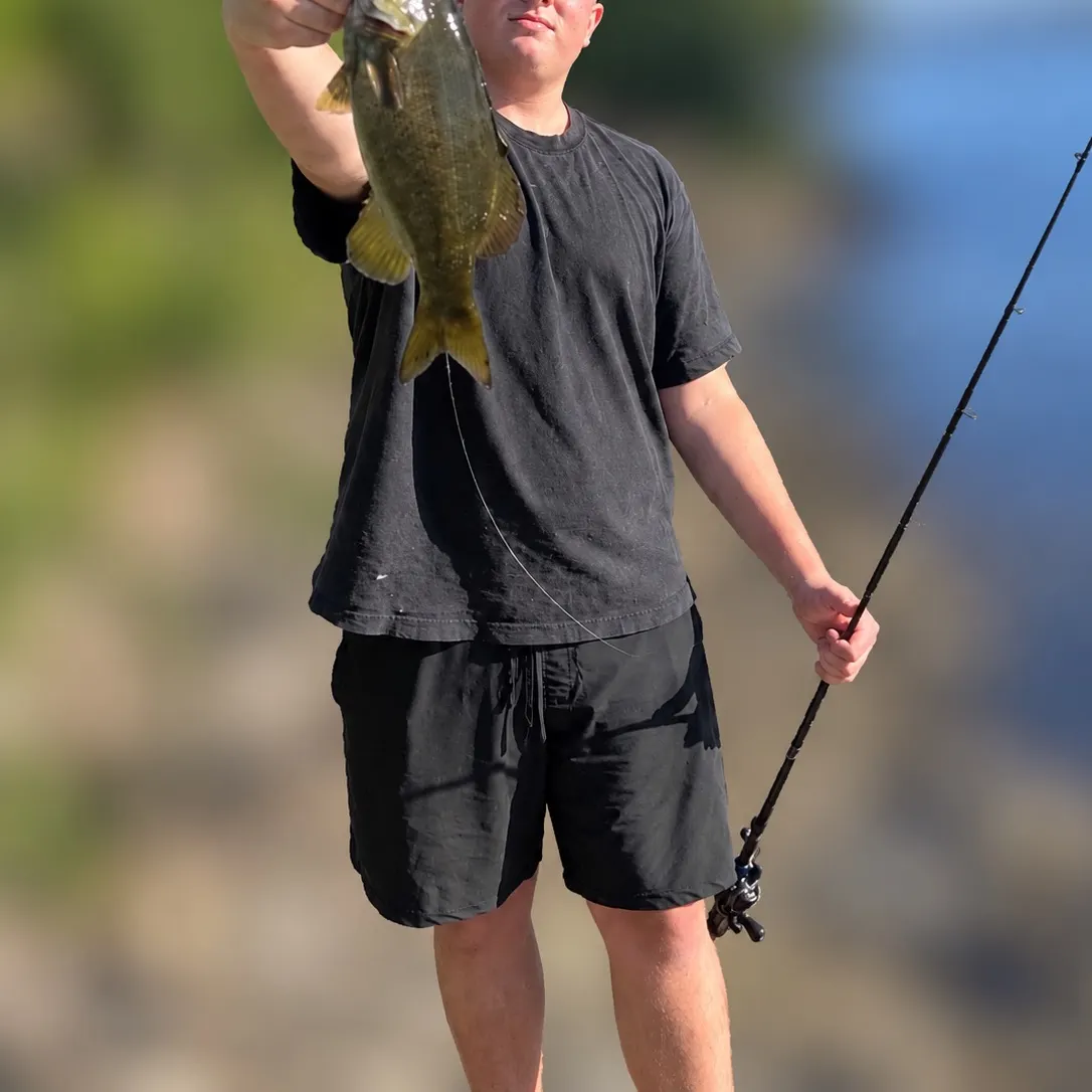 Smallmouth bass caught on Fishbrain