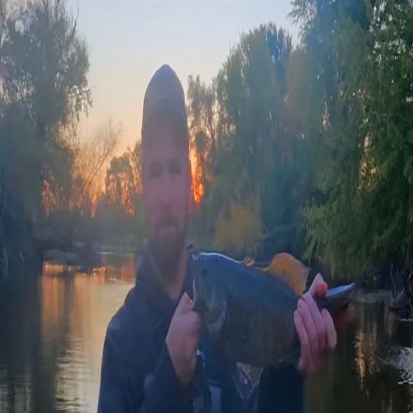 Smallmouth bass caught on Fishbrain