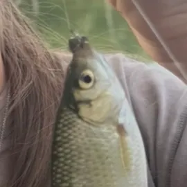 The most recent Ide catches on Fishbrain