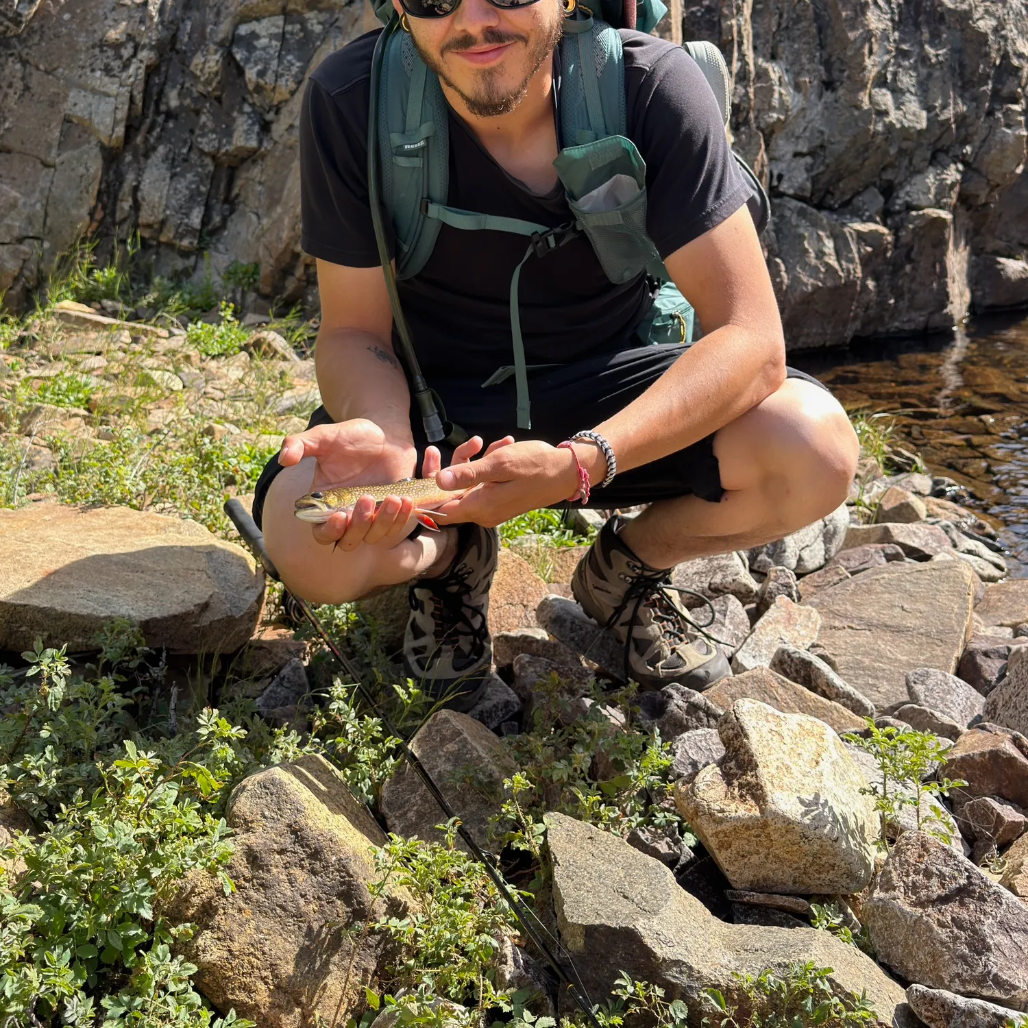 Brook trout caught on Fishbrain
