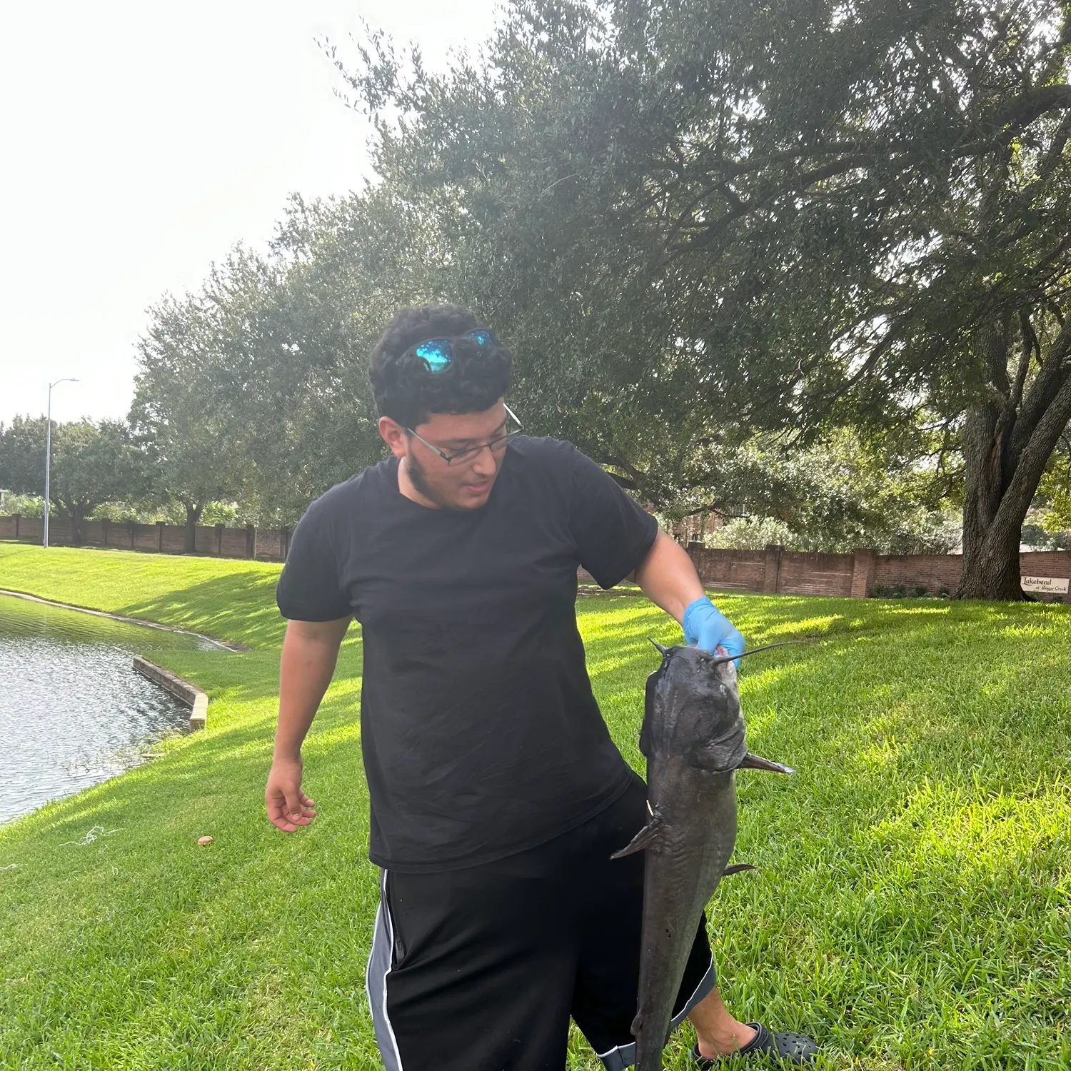 Blue catfish caught on Fishbrain