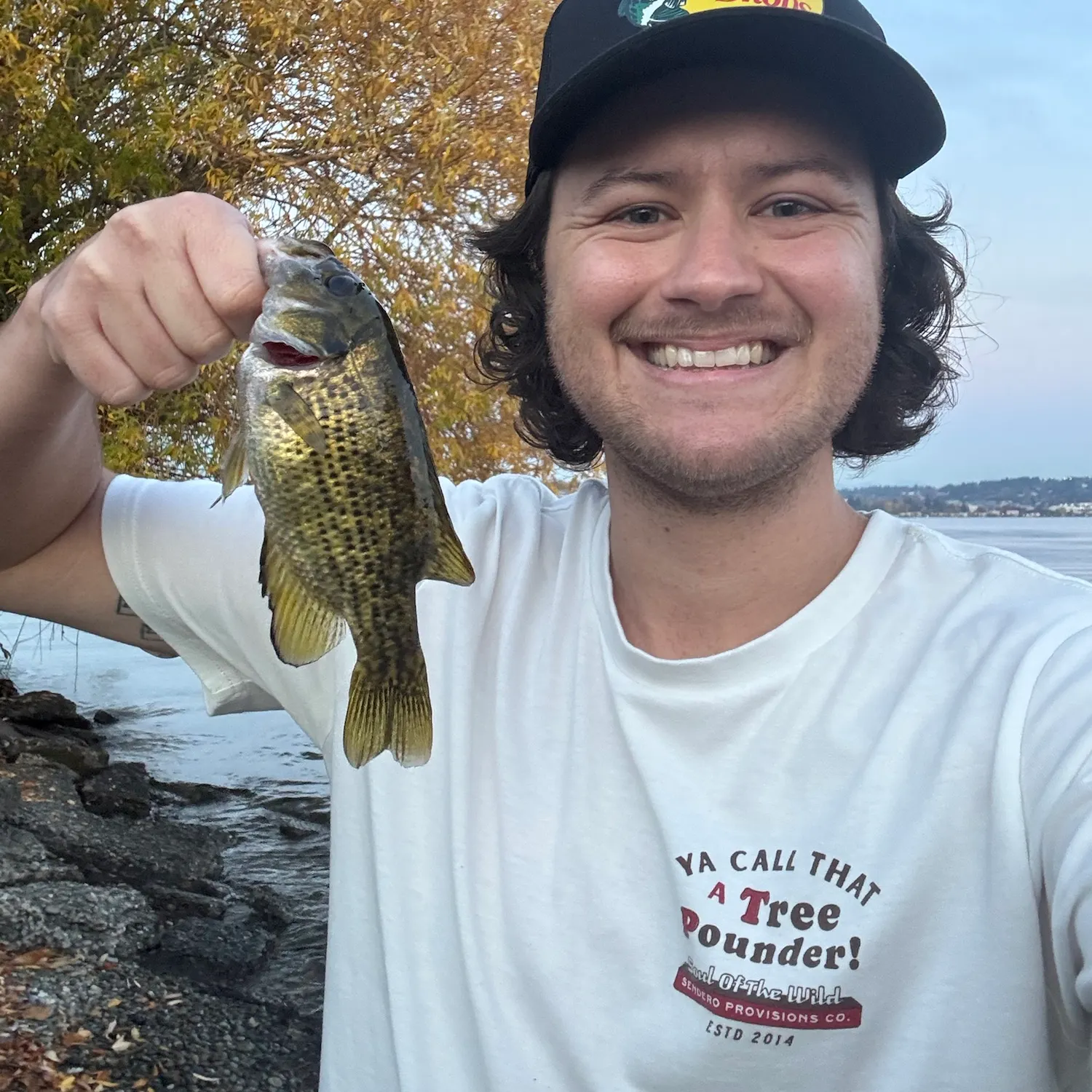 Rock bass caught on Fishbrain