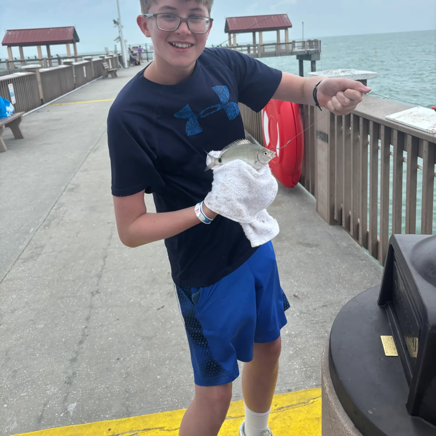 The most recent Spottail seabream catches on Fishbrain