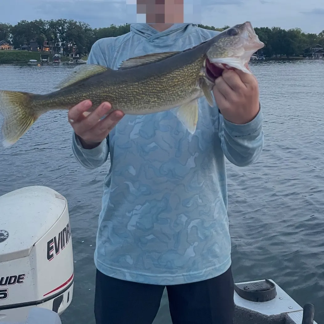 Walleye caught on Fishbrain