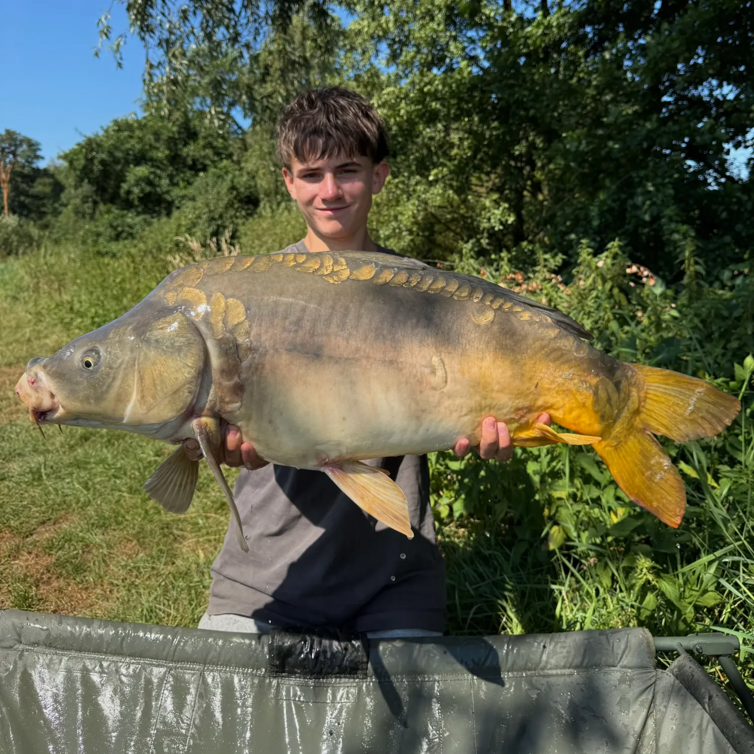 Mirror carp caught on Fishbrain