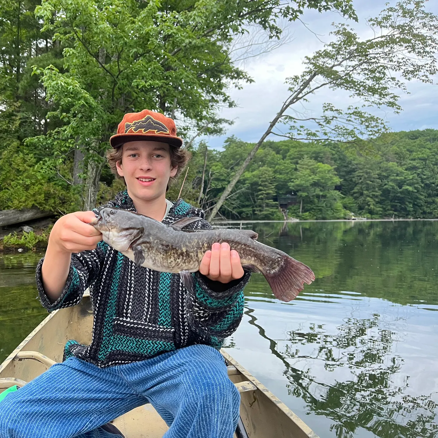 Brown bullhead caught on Fishbrain